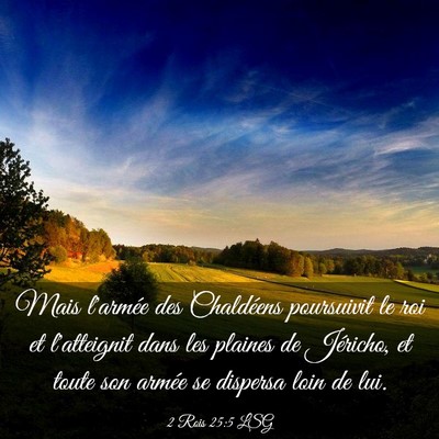 Picture 03 - 2 Rois 25:5 LSG - Mais l'armée des Chaldéens poursuivit le roi et - Bible Verse Picture