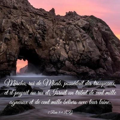 Picture 03 - 2 Rois 3:4 LSG - Méscha, roi de Moab, possédait des troupeaux, - Bible Verse Picture