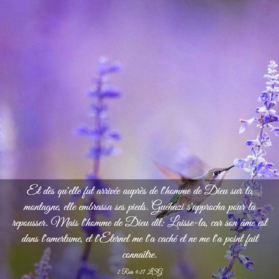 Picture 03 - 2 Rois 4:27 LSG - Et dès qu'elle fut arrivée auprès de l'homme - Bible Verse Picture