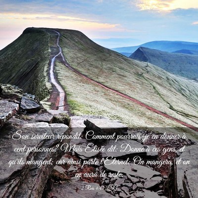 Picture 03 - 2 Rois 4:43 LSG - Son serviteur répondit: Comment pourrais-je en - Bible Verse Picture
