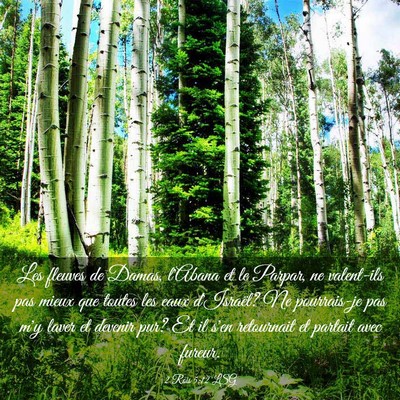 Picture 03 - 2 Rois 5:12 LSG - Les fleuves de Damas, l'Abana et le Parpar, ne - Bible Verse Picture