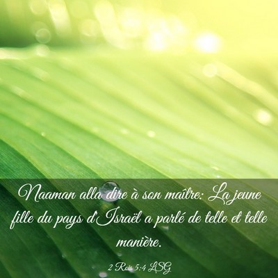 Picture 03 - 2 Rois 5:4 LSG - Naaman alla dire à son maître: La jeune fille - Bible Verse Picture