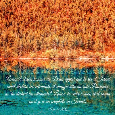 Picture 03 - 2 Rois 5:8 LSG - Lorsqu'Elisée, homme de Dieu, apprit que le roi - Bible Verse Picture