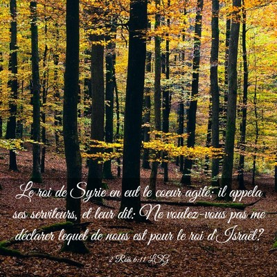 Picture 03 - 2 Rois 6:11 LSG - Le roi de Syrie en eut le coeur agité; il appela - Bible Verse Picture