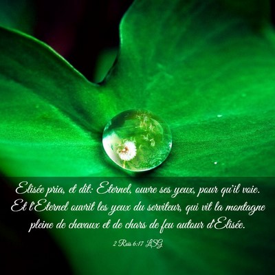 Picture 03 - 2 Rois 6:17 LSG - Elisée pria, et dit: Eternel, ouvre ses yeux, - Bible Verse Picture
