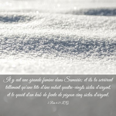 Picture 03 - 2 Rois 6:25 LSG - Il y eut une grande famine dans Samarie; et ils - Bible Verse Picture