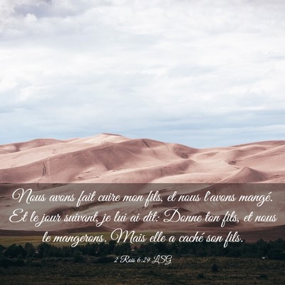 Picture 03 - 2 Rois 6:29 LSG - Nous avons fait cuire mon fils, et nous l'avons - Bible Verse Picture