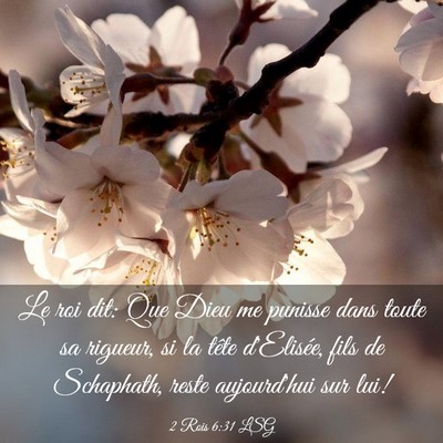 Picture 03 - 2 Rois 6:31 LSG - Le roi dit: Que Dieu me punisse dans toute sa - Bible Verse Picture