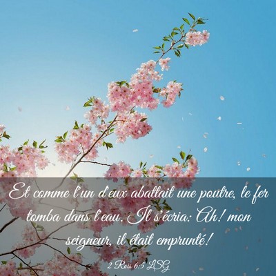 Picture 03 - 2 Rois 6:5 LSG - Et comme l'un d'eux abattait une poutre, le fer - Bible Verse Picture