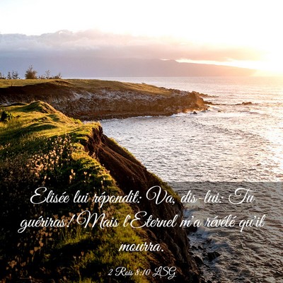 Picture 03 - 2 Rois 8:10 LSG - Elisée lui répondit: Va, dis-lui: Tu guériras! - Bible Verse Picture