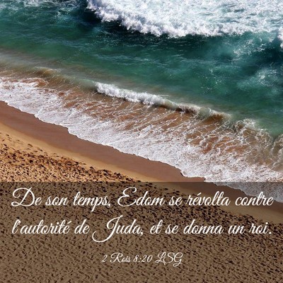 Picture 03 - 2 Rois 8:20 LSG - De son temps, Edom se révolta contre l'autorité - Bible Verse Picture