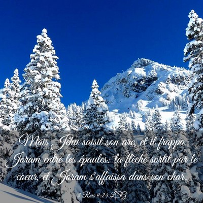 Picture 03 - 2 Rois 9:24 LSG - Mais Jéhu saisit son arc, et il frappa Joram - Bible Verse Picture