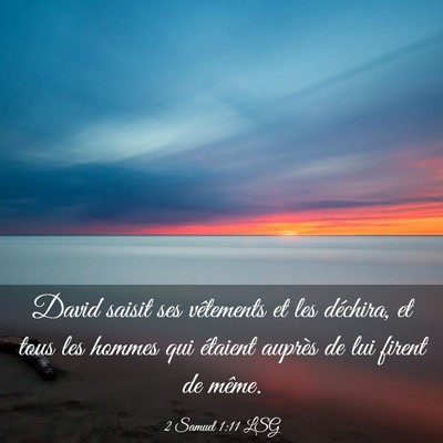Picture 03 - 2 Samuel 1:11 LSG - David saisit ses vêtements et les déchira, et - Bible Verse Picture