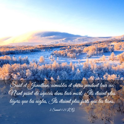 Picture 03 - 2 Samuel 1:23 LSG - Saül et Jonathan, aimables et chéris pendant - Bible Verse Picture