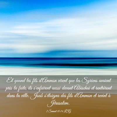 Picture 03 - 2 Samuel 10:14 LSG - Et quand les fils d'Ammon virent que les Syriens - Bible Verse Picture