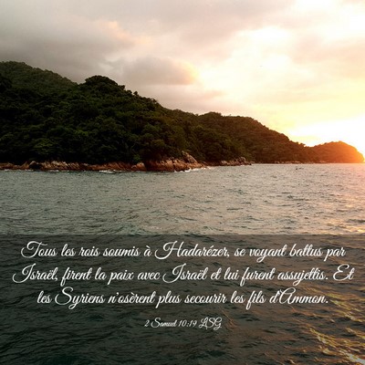 Picture 03 - 2 Samuel 10:19 LSG - Tous les rois soumis à Hadarézer, se voyant - Bible Verse Picture