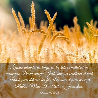 Picture 03 - 2 Samuel 11:1 LSG - L'année suivante, au temps où les rois se - Bible Verse Picture