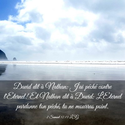 Picture 03 - 2 Samuel 12:13 LSG - David dit à Nathan: J'ai péché contre - Bible Verse Picture