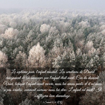 Picture 03 - 2 Samuel 12:18 LSG - Le septième jour, l'enfant mourut. Les - Bible Verse Picture