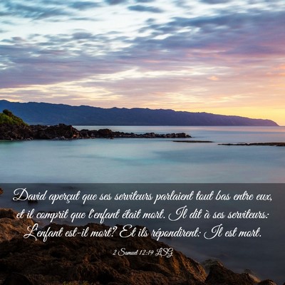Picture 03 - 2 Samuel 12:19 LSG - David aperçut que ses serviteurs parlaient tout - Bible Verse Picture