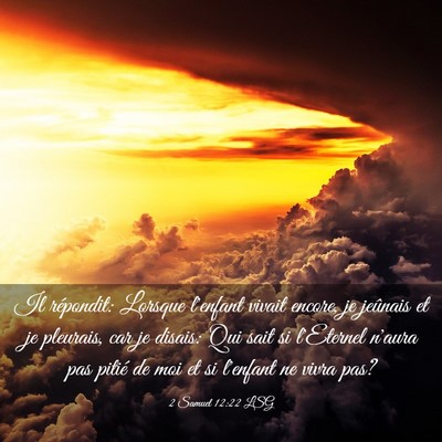 Picture 03 - 2 Samuel 12:22 LSG - Il répondit: Lorsque l'enfant vivait encore, je - Bible Verse Picture