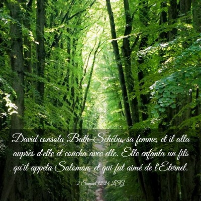 Picture 03 - 2 Samuel 12:24 LSG - David consola Bath-Schéba, sa femme, et il alla - Bible Verse Picture