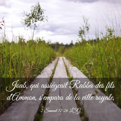Picture 03 - 2 Samuel 12:26 LSG - Joab, qui assiégeait Rabba des fils d'Ammon, - Bible Verse Picture