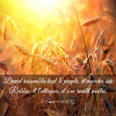 Picture 03 - 2 Samuel 12:29 LSG - David rassembla tout le peuple, et marcha sur - Bible Verse Picture