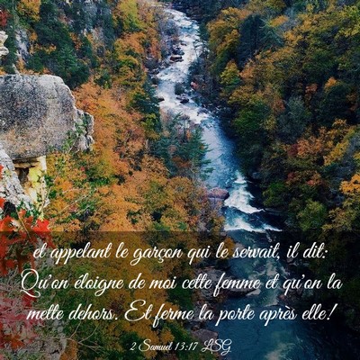 Picture 03 - 2 Samuel 13:17 LSG - et appelant le garçon qui le servait, il dit: - Bible Verse Picture