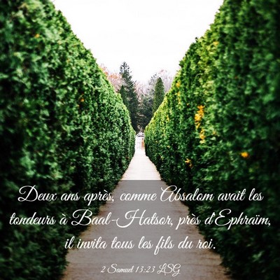 Picture 03 - 2 Samuel 13:23 LSG - Deux ans après, comme Absalom avait les tondeurs - Bible Verse Picture