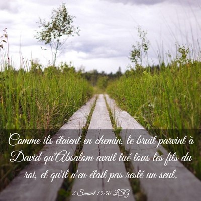 Picture 03 - 2 Samuel 13:30 LSG - Comme ils étaient en chemin, le bruit parvint à - Bible Verse Picture