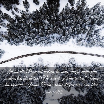 Picture 03 - 2 Samuel 13:4 LSG - Il lui dit: Pourquoi deviens-tu, ainsi chaque - Bible Verse Picture