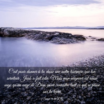 Picture 03 - 2 Samuel 14:20 LSG - C'est pour donner à la chose une autre tournure - Bible Verse Picture