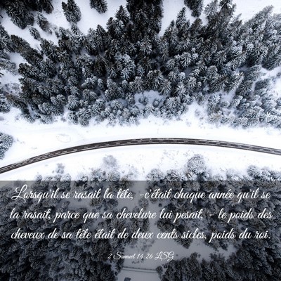 Picture 03 - 2 Samuel 14:26 LSG - Lorsqu'il se rasait la tête, -c'était chaque - Bible Verse Picture