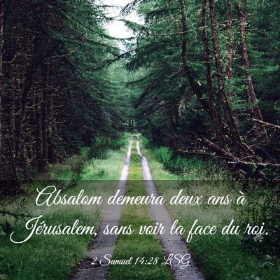 Picture 03 - 2 Samuel 14:28 LSG - Absalom demeura deux ans à Jérusalem, sans voir - Bible Verse Picture