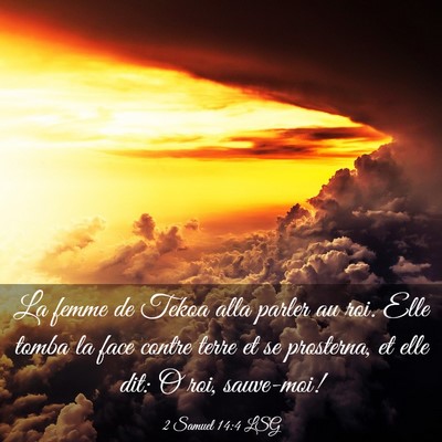 Picture 03 - 2 Samuel 14:4 LSG - La femme de Tekoa alla parler au roi. Elle tomba - Bible Verse Picture