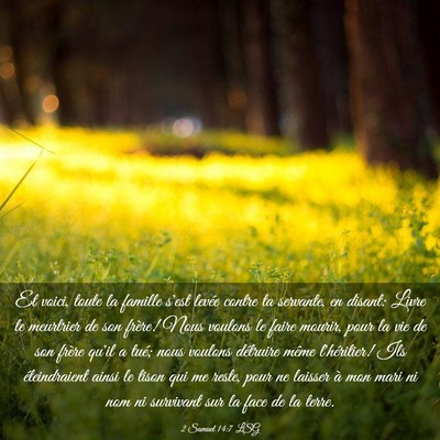 Picture 03 - 2 Samuel 14:7 LSG - Et voici, toute la famille s'est levée contre ta - Bible Verse Picture