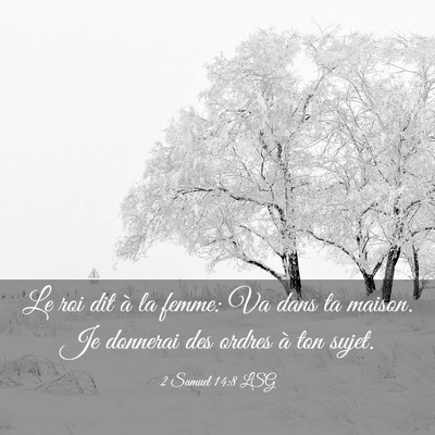 Picture 03 - 2 Samuel 14:8 LSG - Le roi dit à la femme: Va dans ta maison. Je - Bible Verse Picture