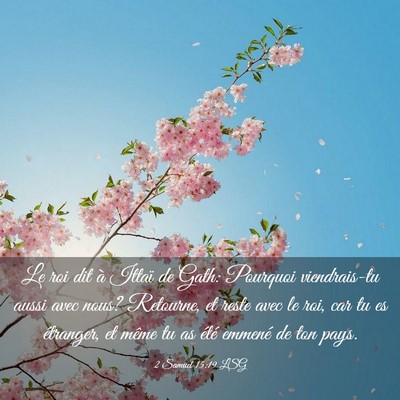 Picture 03 - 2 Samuel 15:19 LSG - Le roi dit à Ittaï de Gath: Pourquoi - Bible Verse Picture