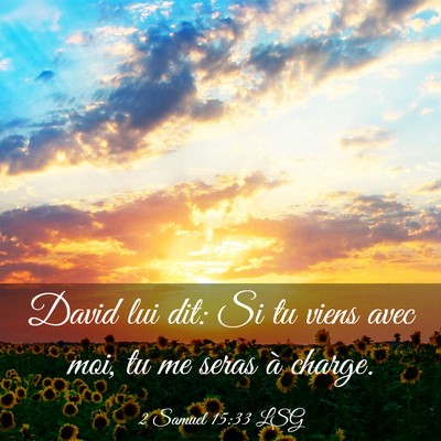 Picture 03 - 2 Samuel 15:33 LSG - David lui dit: Si tu viens avec moi, tu me seras - Bible Verse Picture