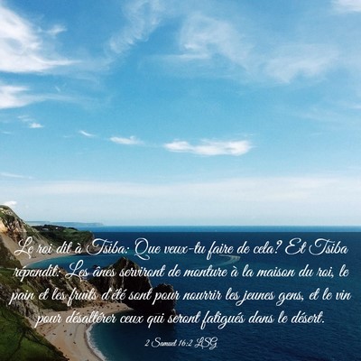 Picture 03 - 2 Samuel 16:2 LSG - Le roi dit à Tsiba: Que veux-tu faire de cela? - Bible Verse Picture