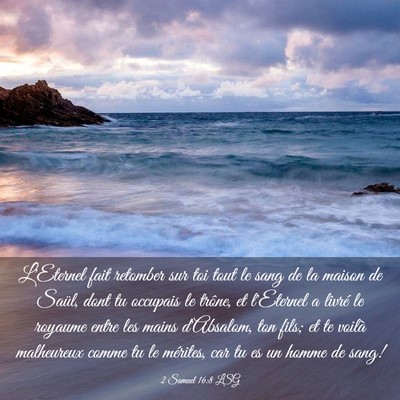 Picture 03 - 2 Samuel 16:8 LSG - L'Eternel fait retomber sur toi tout le sang de - Bible Verse Picture