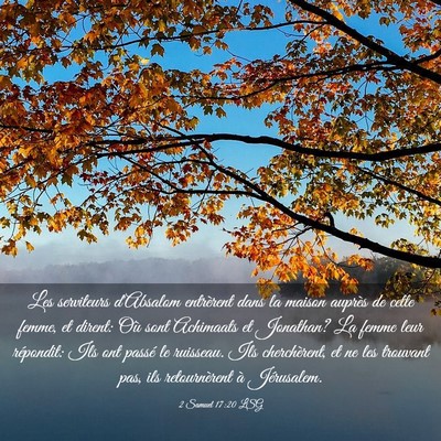 Picture 03 - 2 Samuel 17:20 LSG - Les serviteurs d'Absalom entrèrent dans la - Bible Verse Picture