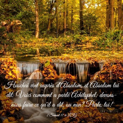 Picture 03 - 2 Samuel 17:6 LSG - Huschaï vint auprès d'Absalom, et Absalom lui - Bible Verse Picture