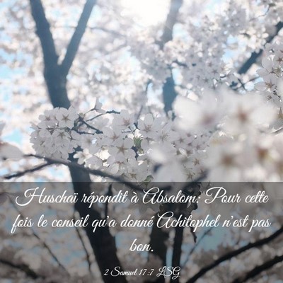 Picture 03 - 2 Samuel 17:7 LSG - Huschaï répondit à Absalom: Pour cette fois le - Bible Verse Picture