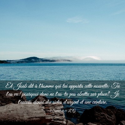 Picture 03 - 2 Samuel 18:11 LSG - Et Joab dit à l'homme qui lui apporta cette - Bible Verse Picture