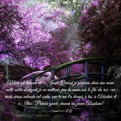 Picture 03 - 2 Samuel 18:12 LSG - Mais cet homme dit à Joab: Quand je pèserais - Bible Verse Picture