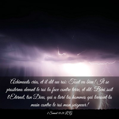 Picture 03 - 2 Samuel 18:28 LSG - Achimaats cria, et il dit au roi: Tout va bien! - Bible Verse Picture