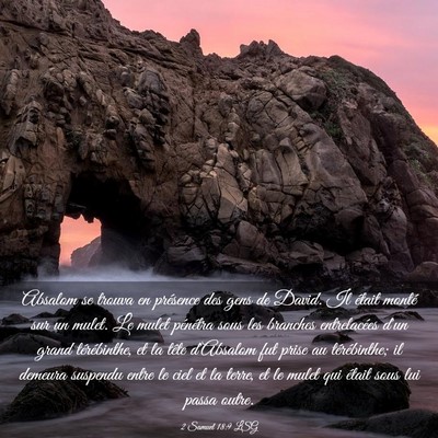 Picture 03 - 2 Samuel 18:9 LSG - Absalom se trouva en présence des gens de David. - Bible Verse Picture