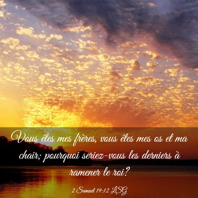 Picture 03 - 2 Samuel 19:12 LSG - Vous êtes mes frères, vous êtes mes os et ma - Bible Verse Picture